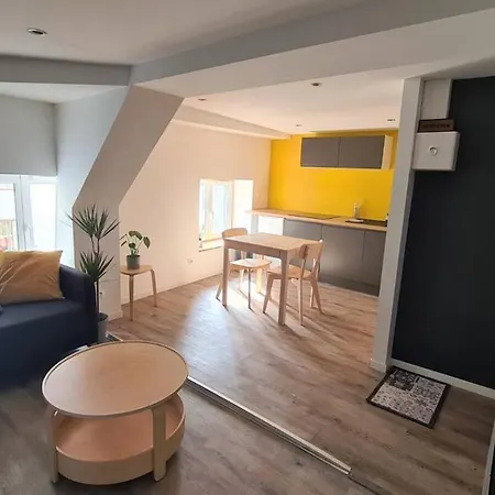 Apartmán Joli Proche Place Wilson - Centre